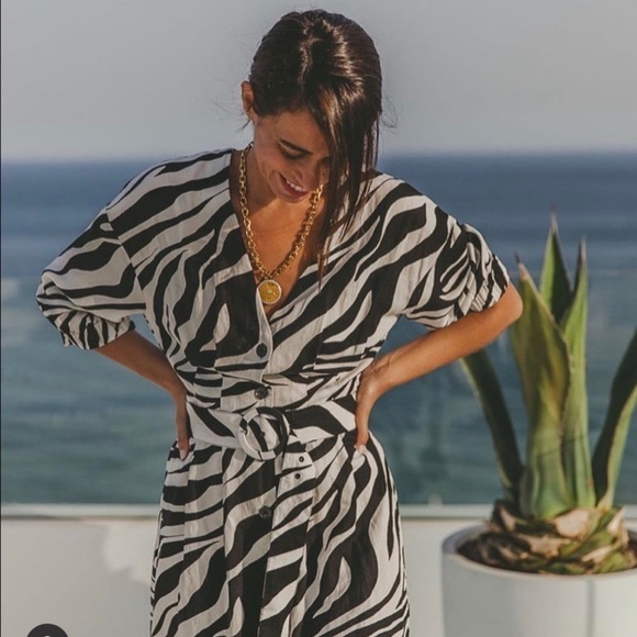 NWT Zara zebra print dress black white - Picture 3 of 10